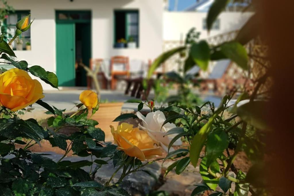 Erofili Cottage House Elounda Exterior foto